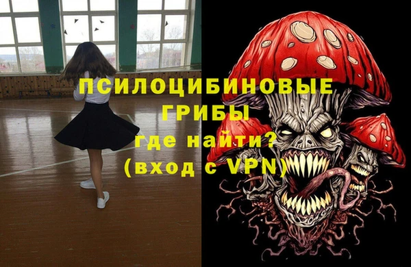 ECSTASY Алзамай