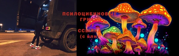 спиды Алексин