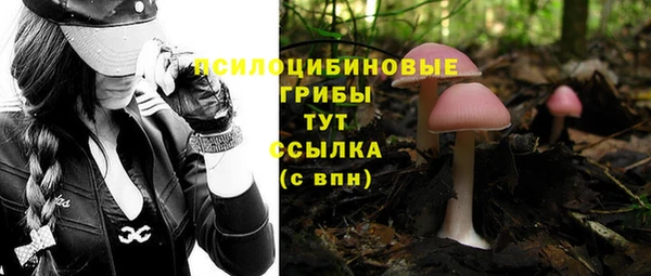 ECSTASY Алзамай
