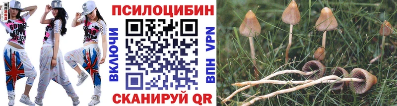 Псилоцибиновые грибы ЛСД  Арсеньев 