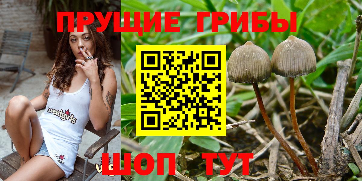 Галлюциногенные грибы GOLDEN TEACHER Арсеньев